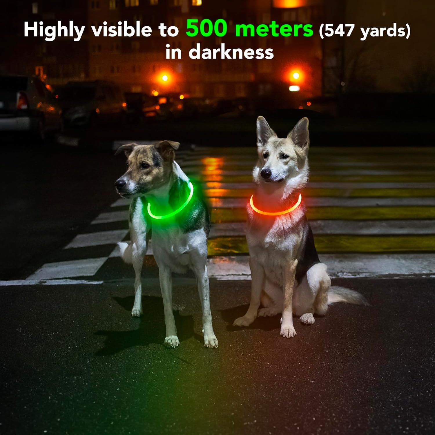 Glow or Get Lost™ LED Dog Collar