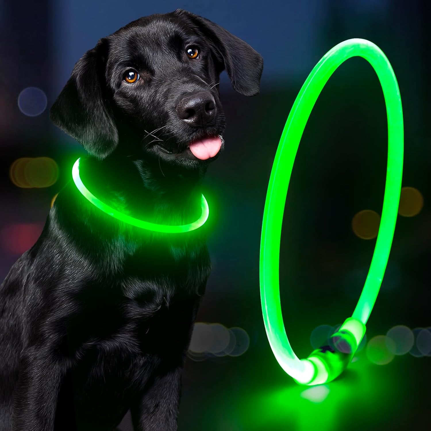 Glow or Get Lost™ LED Dog Collar