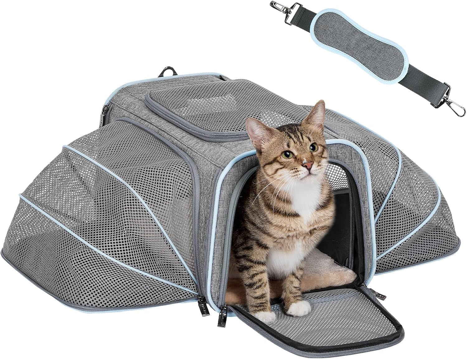 Escape-Proof Yet Comfy” Expandable Airline Pet Carrier – Because Your Tiny Tyrant Deserves Space