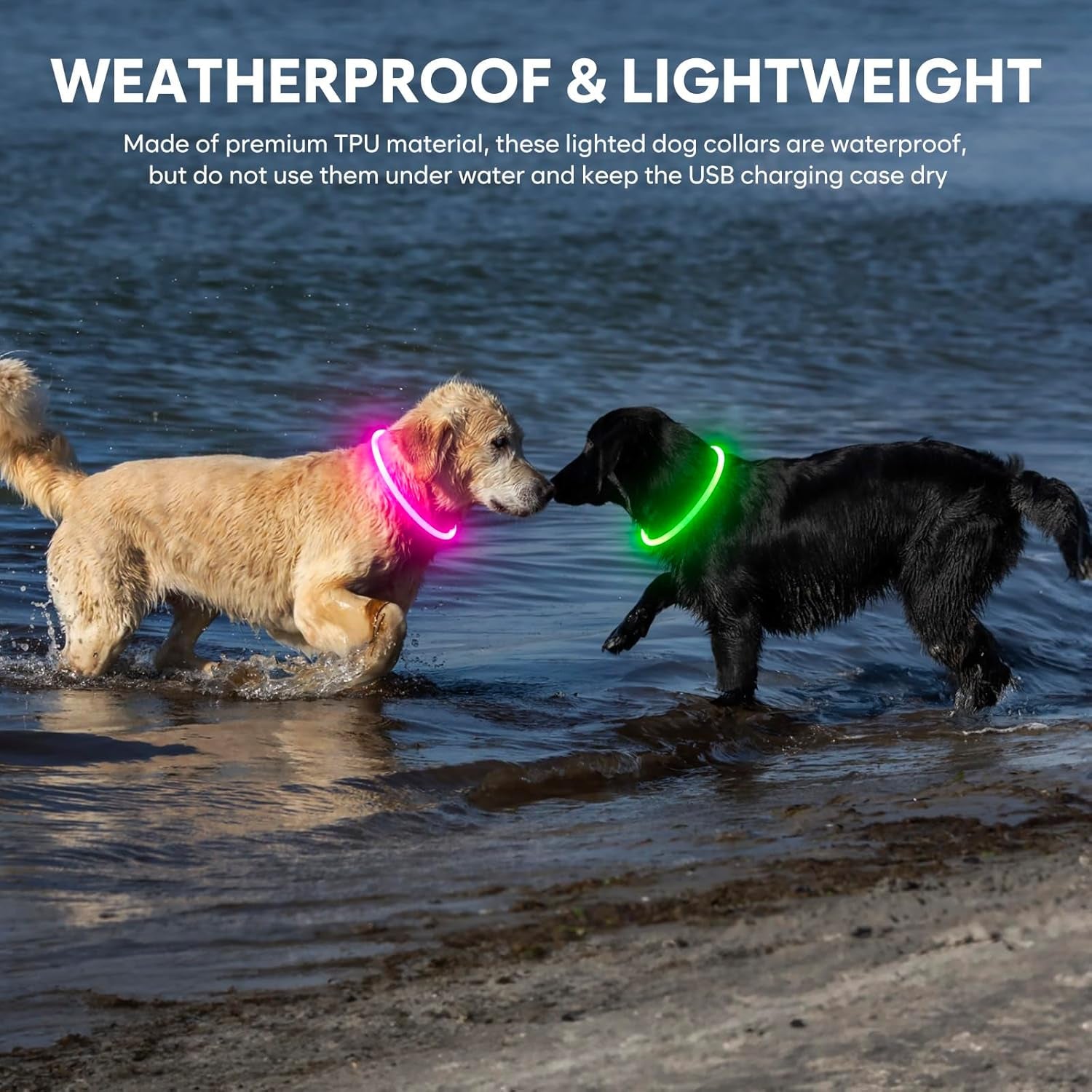 Glow or Get Lost™ LED Dog Collar
